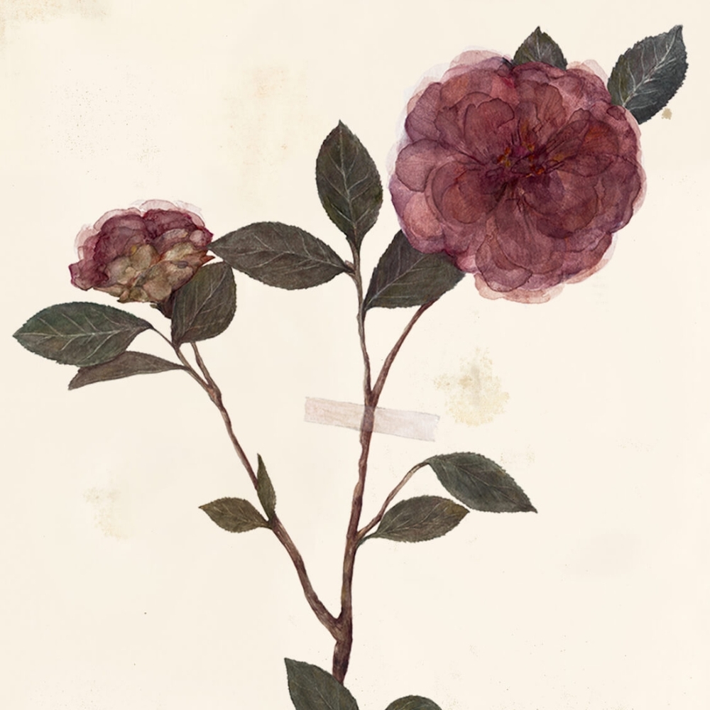 Meet your Posher, Keriggan21